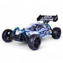 HSP Warhead Nitro Powered 1:10th Scale Off-Road Buggy  (Pro Model - 2 Speed Gearbox)