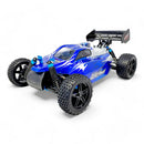 HSP Warhead Nitro Powered 1:10th Scale Off-Road Buggy (Pro Model - 2 Speed Gearbox)