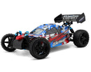 HSP Warhead Nitro Powered 1:10th Scale Off-Road Buggy (Pro Model - 2 Speed Gearbox)