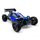 HSP Warhead Nitro Powered 1:10th Scale Off-Road Buggy  (Pro Model - 2 Speed Gearbox)