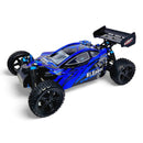 HSP Warhead Nitro Powered 1:10th Scale Off-Road Buggy  (Pro Model - 2 Speed Gearbox)