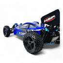 HSP Warhead Nitro Powered 1:10th Scale Off-Road Buggy  (Pro Model - 2 Speed Gearbox)