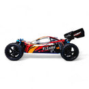 HSP Warhead Nitro Powered 1:10th Scale Off-Road Buggy (Pro Model - 2 Speed Gearbox)