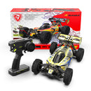 Rlaarlo DSK Dragon Scale Knight 1:8 Scale Race Buggy - Ready to Run