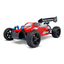 HSP Warhead Nitro Powered 1:10th Scale Off-Road Buggy (Pro Model - 2 Speed Gearbox)