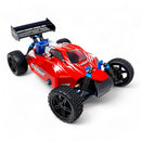 HSP Warhead Nitro Powered 1:10th Scale Off-Road Buggy (Pro Model - 2 Speed Gearbox)