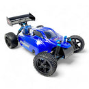 HSP Warhead Nitro Powered 1:10th Scale Off-Road Buggy (Pro Model - 2 Speed Gearbox)