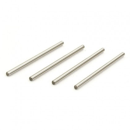 HNR 9803 Werewolf / FTX EVO30 Inner Lower Hinge Pins - Part Number H98207