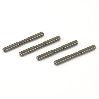 HNR 9803 Werewolf / FTX EVO30 Rear Outer Lower Hinge Pins - Part Number H98209