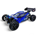 HSP Warhead Nitro Powered 1:10th Scale Off-Road Buggy  (Pro Model - 2 Speed Gearbox)