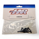 HNR 9803 Werewolf / FTX EVO30 Button Head Screw 3*14mm (10 Pack) - Part Number H98233