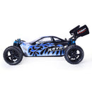 HSP Warhead Nitro Powered 1:10th Scale Off-Road Buggy  (Pro Model - 2 Speed Gearbox)