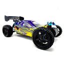HSP Warhead Nitro Off-Road Buggy - Pro Version with 2 Speed Gearbox
