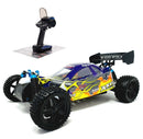 HSP Warhead Nitro Off-Road Buggy - Pro Version with 2 Speed Gearbox